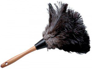 Feather-Duster