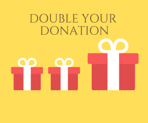 Double your donation-2